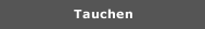 Tauchen